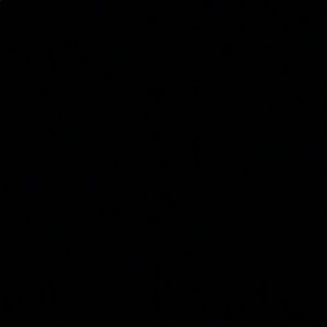 Meet your Posher, Lillian